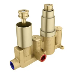 Arezzo Brushed Brass Square Modern Twin Concealed Shower Valve -Modern Bath Shop azbbsvsqd1