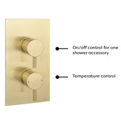 Arezzo Brushed Brass Twin Concealed Shower Valve Inc. 300mm Head + Ceiling Mounted Arm -Modern Bath Shop rd3bbpkcm detail1