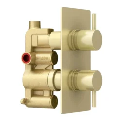Arezzo Brushed Brass Twin Concealed Shower Valve Inc. 300mm Head + Ceiling Mounted Arm -Modern Bath Shop rd3bbpkcm detail2