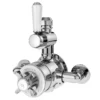 Asquiths Restore Twin Exposed Shower Valve